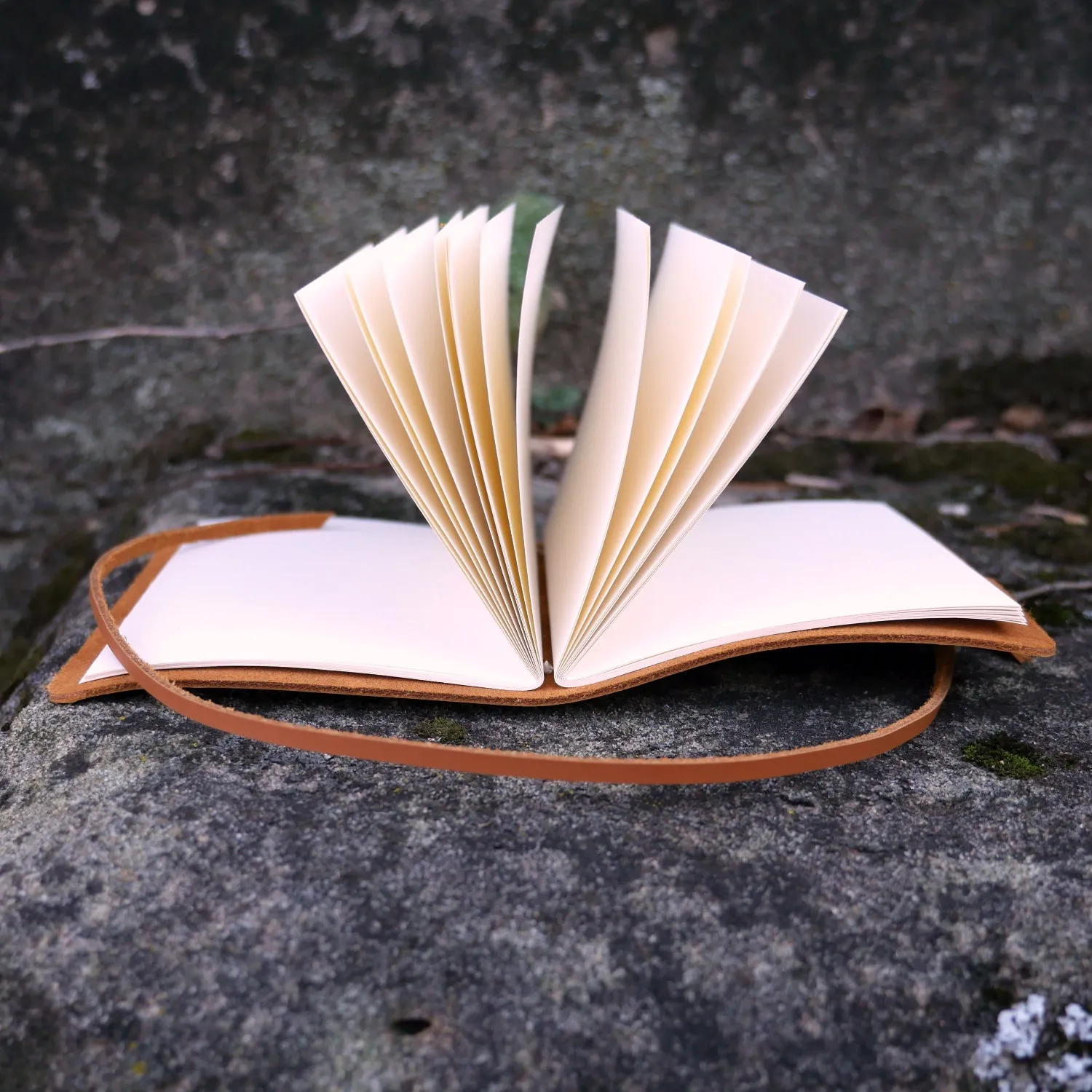Nutmeg Tavern Journal
