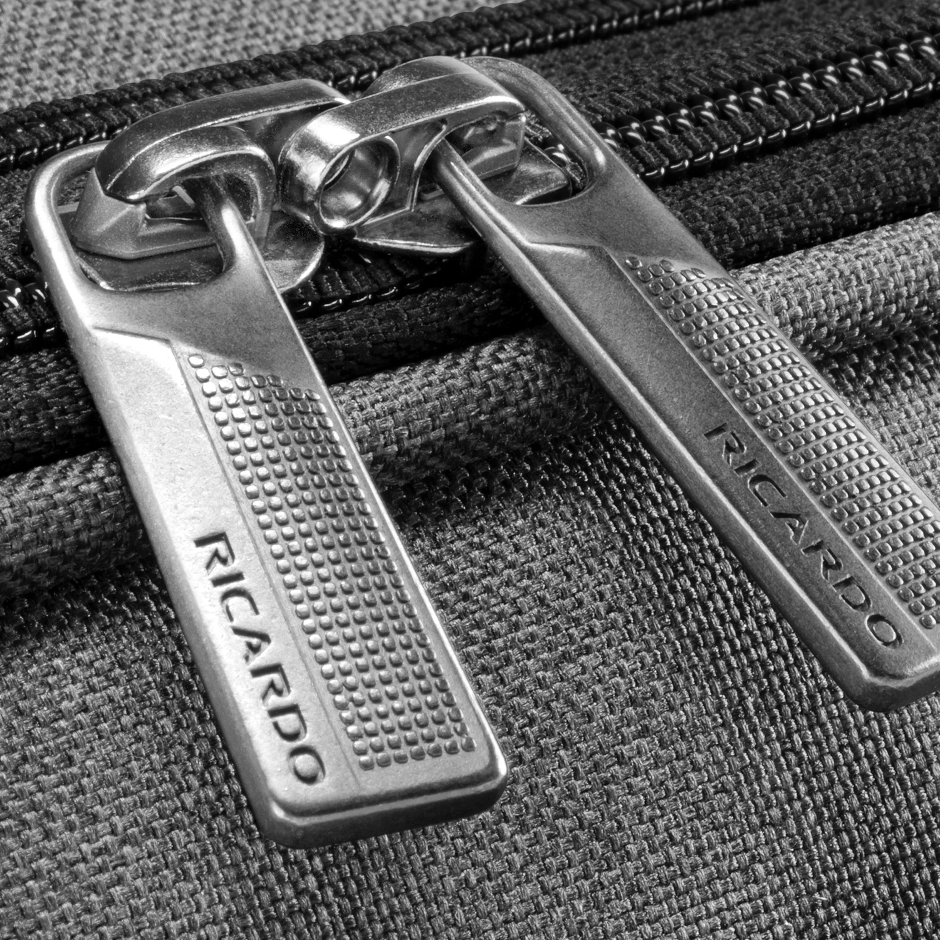 Ricardo Beverly Hills Malibu 3.0 Large Check-In Expandable Spinner Luggage